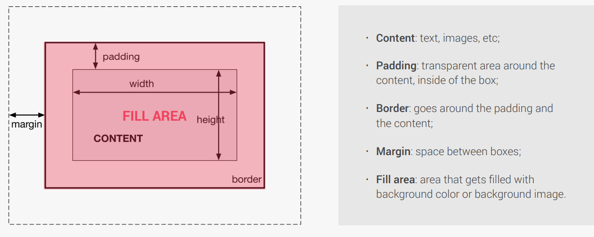 Box Model