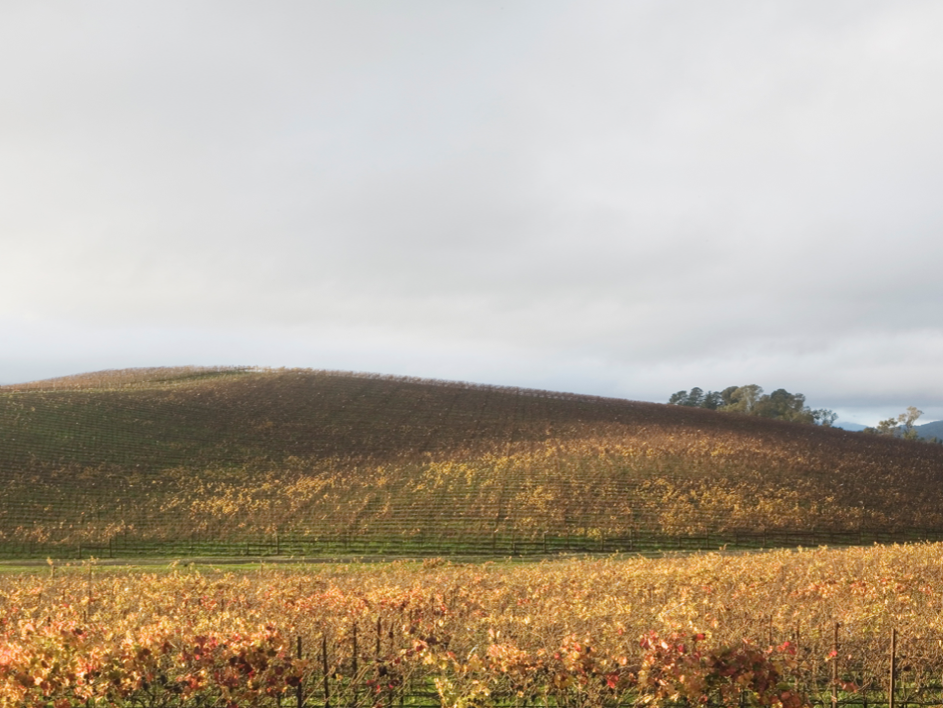 Colline Windows