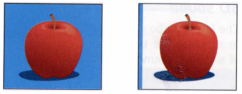 Image Pomme Compression