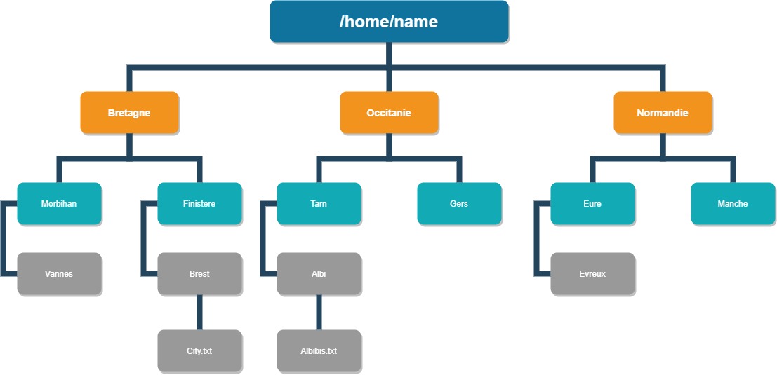 Repertoire